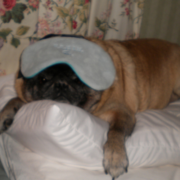 Meet your Posher, Cocoandbean - Picture 4 of 6
